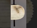youtube - [Video]