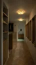 ChatGPT Image Jul 13, 2026, 04_53_49 PM.webp