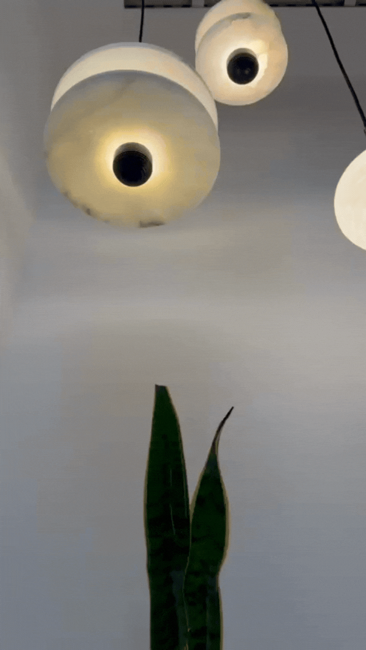tuns-401c214b4248aab4a417684309184697.gif